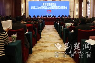 湖北省慈善总会召开四届二次会员代表大会 陈天会当选会长