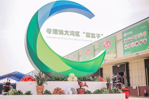 粤豫同心 粤港澳大湾区菜篮子产品韶关配送中心驰援河南灾区
